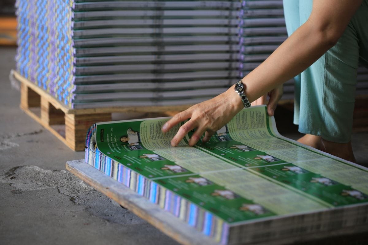 Checking freshly printed catalogue sheets